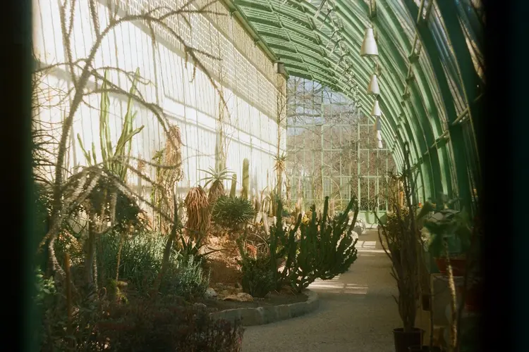 Balkan en klezmer klinken in de Hortus
