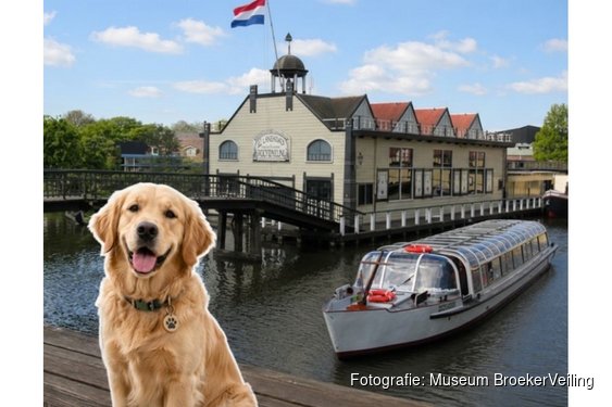 Internationale Hondendag bij Museum BroekerVeiling: een dagje uit voor baas &eacute;n hond