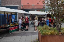 Straatfestival zorgt voor vrolijke drukte in De Mare