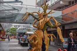 Straatfestival zorgt voor vrolijke drukte in De Mare