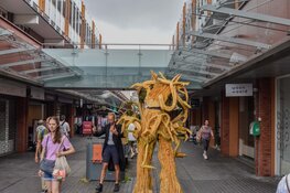 Straatfestival zorgt voor vrolijke drukte in De Mare