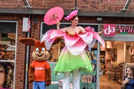 Straatfestival zorgt voor vrolijke drukte in De Mare