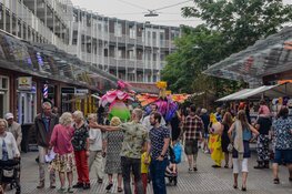 Straatfestival zorgt voor vrolijke drukte in De Mare