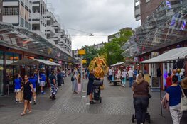 Straatfestival zorgt voor vrolijke drukte in De Mare