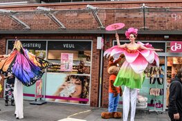Straatfestival zorgt voor vrolijke drukte in De Mare