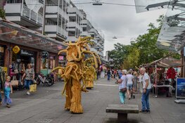 Straatfestival zorgt voor vrolijke drukte in De Mare