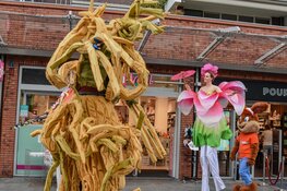 Straatfestival zorgt voor vrolijke drukte in De Mare