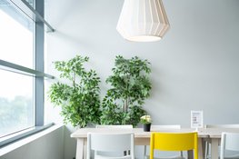 Oud huis, nieuw comfort: verduurzamen zonder het karakter te verliezen
