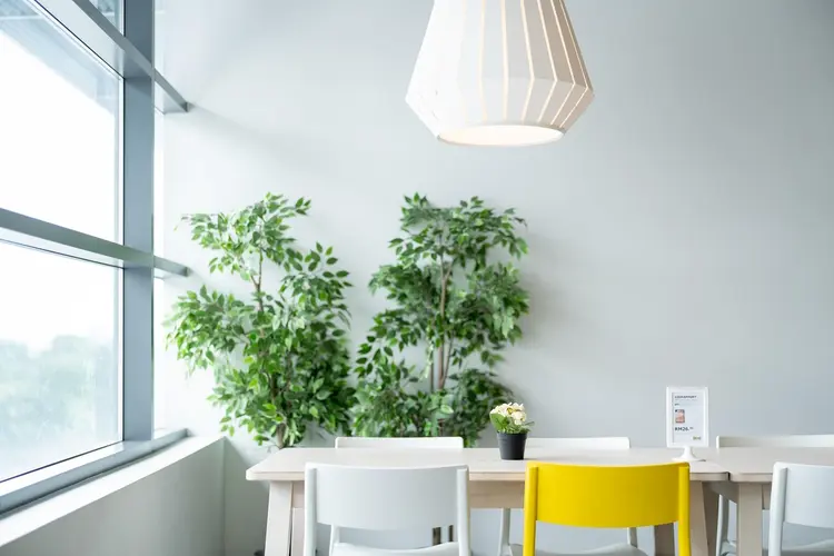 Oud huis, nieuw comfort: verduurzamen zonder het karakter te verliezen