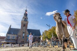 Landbouwdag Alkmaar brengt stad en platteland samen op woensdag 30 september