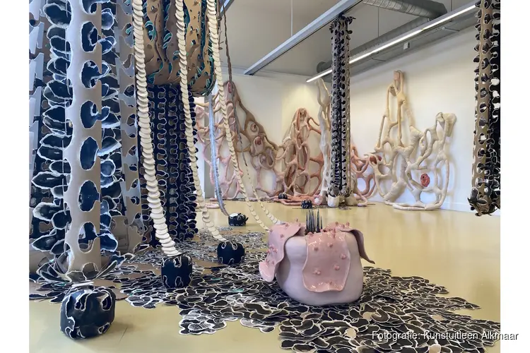 Kunstuitleen Alkmaar presenteert Dwaalland: een wonderlijke wereld van papier, keramiek en textiel