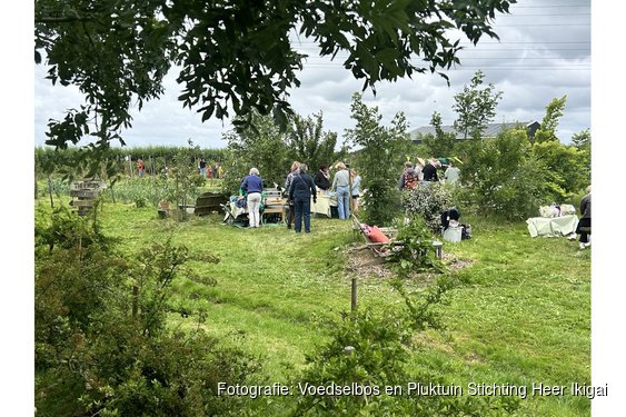 Indian Summer bij voedselbos en pluktuin Heer Ikigai help mee of leer meer over fermenteren en wildp