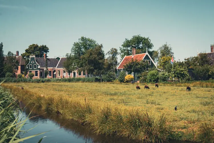 Hoe belangrijk zijn snelle betalingstransacties voor de inwoners van Alkmaar?