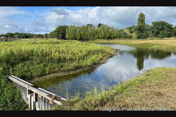 Nieuw natuurgebied bij Egmond: Pollenvlak bloeit op