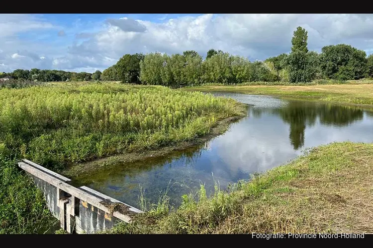 Nieuw natuurgebied bij Egmond: Pollenvlak bloeit op