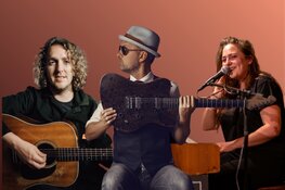 Troubadours in De Alkenaer