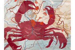 Expositie Kaart, schilderijen en tekeningen op vintage landkaarten van Inge Koetzier van Hooff, Yogallery Alkmaar, opening 9 oktober