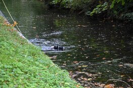 Brandweerduikers ingezet na vondst scooter in water in Alkmaar