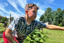 Klimmen, gratis zwemmen en springen in de herfstvakantie bij Outdoorpark Alkmaar