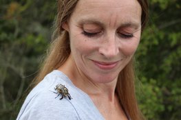 Insecten in de hoofdrol tijdens bijzondere lezing in Museum BroekerVeiling