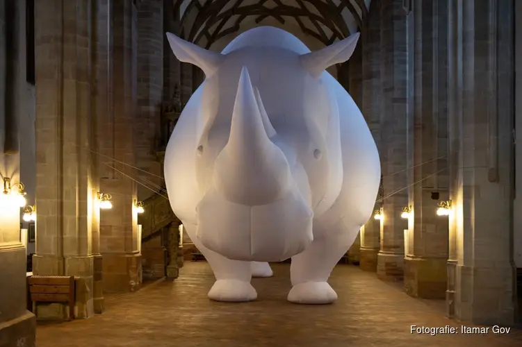 Reusachtig kunstwerk The Rhinoceros in the Room in Grote Kerk Alkmaar