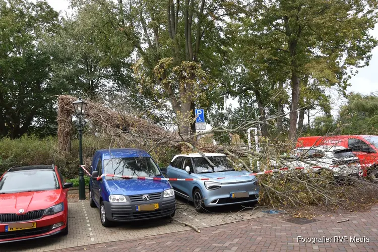 Omgewaaide boom valt op twee geparkeerde auto's in Alkmaar
