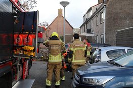 Boom valt bijna op auto in Alkmaar