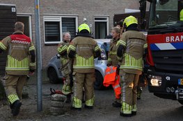 Boom valt bijna op auto in Alkmaar