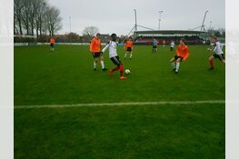 Verdedigende instelling levert Zeevogels geen punten op